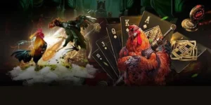 Khám Phá Sảnh Đá Gà GA28 Tại MU88 Với Tỷ Lệ Cược Hấp Dẫn