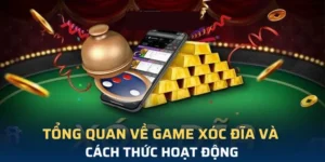 Xóc Đĩa Tại MU88 Hấp Dẫn Từ Truyền Thống Đến Hiện Đại Hóa